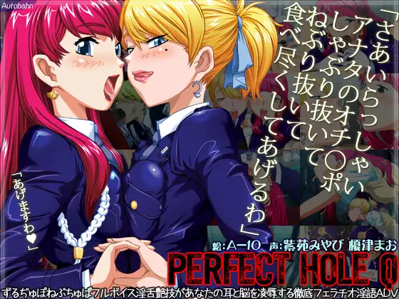 パーフェクトホールQ
