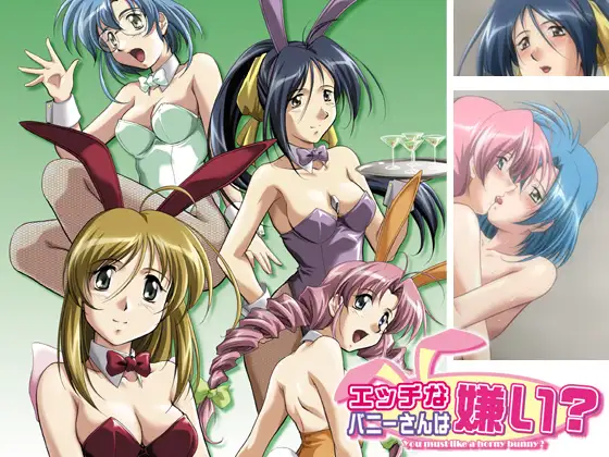 エッチなバニーさんは嫌い？